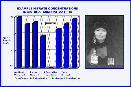 Quality Comparison & Model Image